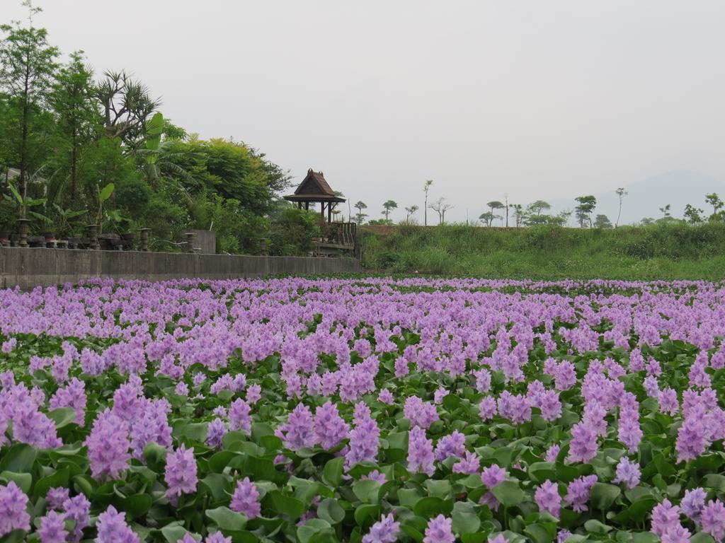 Beautiful Yilan Resort Dongshan  Eksteriør billede